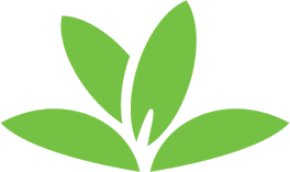 PlantNet - Application d'identification des plantes