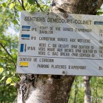 Sentier Denecourt n°6 - Forêt de Fontainebleau