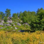Paysage d'Apremont - Forêt de Fontainebleau
