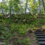 Les escaliers de l'Érosion - Forêt de Fontainebleau