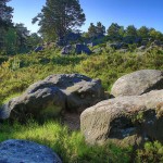 Paysage rocheux d'Apremont - Forêt de Fontainebleau