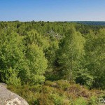 Vue des Gorges d'Apremont - Forêt de Fontainebleau