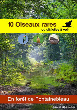 Oiseaux rares de la forêt de Fontainebleau - eBook PDF - Djamal Makhloufi