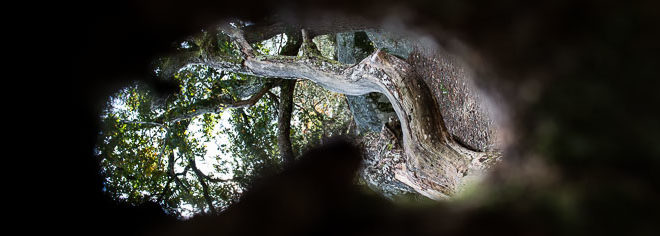Faire des photos de paysages en forêt de Fontainebleau