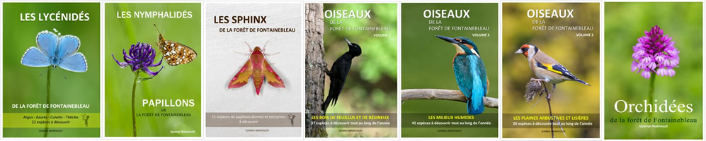 Livres sur les papillons, les oiseaux, les orchidées de la forêt de Fontainebleau