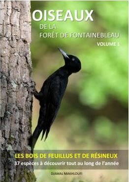 livre sur la nature - oiseaux des bois et forêts